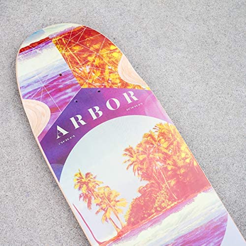 Arbor Longboard Review